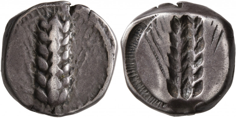 LUCANIA. Metapontion. Circa 470-440 BC. Stater (Silver, 18 mm, 7.87 g, 12 h). [M...