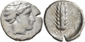 LUCANIA. Metapontion. Circa 430-400 BC. Didrachm or Nomos (Silver, 22 mm, 7.27 g, 3 h). Head of Demeter to right, her hair bound with crossed fillet; ...