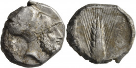 LUCANIA. Metapontion. Circa 340-330 BC. Distater (Silver, 24 mm, 15.51 g, 7 h). Bearded head of Leukippos to right, wearing Corinthian helmet decorate...