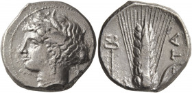 LUCANIA. Metapontion. Circa 340-330 BC. Didrachm or Nomos (Silver, 22 mm, 7.84 g, 1 h). Head of Demeter to left, wearing wreath of grain ears, pendant...