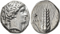 LUCANIA. Metapontion. Circa 340-330 BC. Didrachm or Nomos (Silver, 19 mm, 7.84 g, 11 h). Head of Demeter to right, wearing wreath of grain ears, tripl...