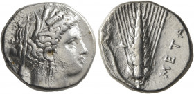 LUCANIA. Metapontion. Circa 340-330 BC. Didrachm or Nomos (Silver, 20 mm, 7.80 g, 4 h). Head of Demeter to right, wearing wreath of grain ears, pendan...