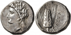 LUCANIA. Metapontion. Circa 330-290 BC. Didrachm or Nomos (Silver, 20 mm, 7.88 g, 3 h). Head of Demeter to left, wearing wreath of grain ears, triple ...