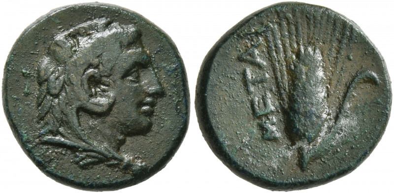 LUCANIA. Metapontion. Circa 300-250 BC. AE (Bronze, 14 mm, 3.10 g, 11 h). Head o...