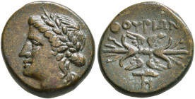 LUCANIA. Thourioi. Circa 280-213 BC. AE (Bronze, 15 mm, 3.14 g, 6 h). Laureate head of Apollo to left. Rev. ΘΟΥΡΙΩΝ Winged thunderbolt; below, monogra...