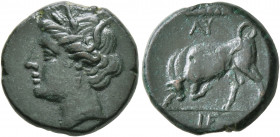 SICILY. Syracuse. Hieron II, 275-215 BC. AE (Bronze, 15 mm, 3.91 g, 6 h), circa 275-269/5. Head of Kore to left, wearing wreath of grain ears, earring...