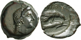 SKYTHIA. Olbia. Circa 400-350 BC. AE (Bronze, 19 mm, 4.65 g, 1 h). Head of Demeter to right. Rev. ΟΛΒΙΟ Eagle standing right on dolphin to right; all ...