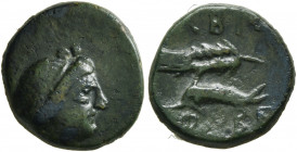 SKYTHIA. Olbia. Circa 350-300 BC. AE (Bronze, 13 mm, 2.13 g, 12 h). Head of Demeter to right. Rev. ΟΛΒΙΟ / ΦΟΒΕ Grain ear above dolphin left. HGC 3.2,...