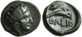 SKYTHIA. Olbia. Circa 350-300 BC. AE (Bronze, 11 mm, 1.30 g, 6 h). Laureate head of Apollo to right. Rev. ΟΛΒΙΟ Dolphin to right; above, barley grain;...