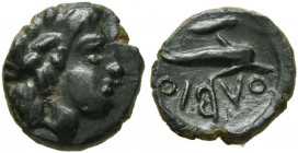 SKYTHIA. Olbia. Circa 350-300 BC. AE (Bronze, 9 mm, 0.52 g, 10 h). Laureate head of Apollo to right. Rev. ΟΛΒΙΟ Dolphin to right; above, barley grain;...
