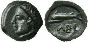 SKYTHIA. Olbia. Circa 350-300 BC. AE (Bronze, 11 mm, 0.65 g, 10 h). Head of Demeter to left. Rev. [Ο]ΛΒΙ Dolphin to left within circular incuse. HGC 3...