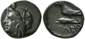 SKYTHIA. Olbia. Circa 330-300 BC. AE (Bronze, 12 mm, 1.43 g, 12 h). Head of Demeter to left, wearing wreath of grain ears. Rev. ΟΛΒΙΟ Eagle standing l...
