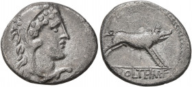 M. Volteius M.f, 78 BC. Denarius (Silver, 18 mm, 3.63 g, 4 h), Rome. Head of Hercules to right, wearing lion skin headdress. Rev. M VOLTEI M•F Erymant...