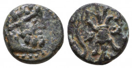 Pisidia, Selge AE. 200-100 BC.

Condition: Very Fine

Weight: 1,2 gr
Diameter: 11 mm
