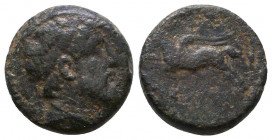 Seleukid Kings of Syria. Seleukos II Kallinikos 246-225 BC. AE Antioch. Diameded bust right.

Condition: Very Fine

Weight: 2,5 gr
Diameter: 13 mm