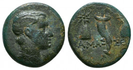 Pontos. Amaseia circa 120-63 BC. Bronze Æ . Winged head of Perseus right / ΑΜΑΣ-ΣΕΙΑΣ; cornucopia between two pilei of the Dioskouroi with stars on to...