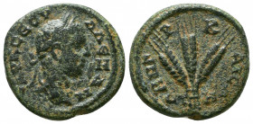 Cappadocia, Caesarea. Severus Alexander. A.D. 222-235. AE . struck A.D. 223/4. AY K CЄOV ALЄΞANΔ, laureate head of Severus Alexander right / (MH)TP - ...