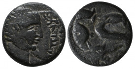 MESOPOTAMIA, Hatra. Pseudo-autonomous issue. Early-mid 2nd century AD. Æ . Radiate head of the sun god Shamash right / Large C(retrograde)S; above, ea...