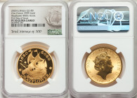 Elizabeth II gold Proof "Mayflower 400th Anniversary" 100 Pounds (1 oz) 2020 PR70 Ultra Cameo NGC, KM-Unl. Mintage: 500. First day of issue.

HID098...
