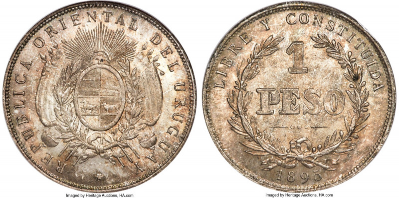 Republic Peso 1895 MS64 NGC, Buenos Aires mint, KM17a, Elizondo-7. A lovely pewt...