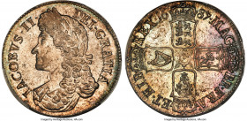James II Crown 1687 MS64 PCGS, KM463, S-3407, ESC-743. TERTIO edge. This captivating Mint State survivor stands well above the typical quality that co...