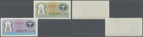 Tatarstan: Pair with 200 Rubles in blue and another one in olive-green color, P.7a,b. Both notes with slightly stained paper, rounded corners and mino...