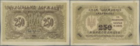 Ukraina: 250 Karbovanez 1918 P. 39a miscut borders, handling and dints in paper, condition: VF.