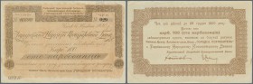 Ukraina: Kiev 100 Karbovanetz 1920 R*15281, light handling and creases in paper, condition: XF.