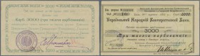 Ukraina: Ukraïnsky People's Co-operative Bank (Украïнський Народнiй Кооперативний Банк), 3000 Karbovantsiv 1920 Kardakov K.5.28.7, never folded, only ...