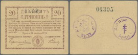 Ukraina: Magistrate Mista Brodie (Магистрат мiста Броди), 20 Hriven 1919 K.5.77.5, light center bend, light handling in paper, condition: XF-....