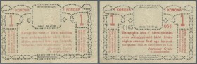 Ukraina: Magisztratus varos Beregszaszi, 1 Korona 1920 P. NL, used with several folds and creases but without holes or tears, no repairs, condition: F...