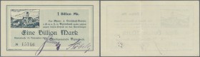 Deutschland - Notgeld - Württemberg: Alpirsbach, Stadtgemeinde, 1 Billion Mark, 16.11.1923, 2 gestempelte Unterschriften, Erh. II