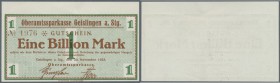 Deutschland - Notgeld - Württemberg: Geislingen, Oberamtssparkasse, 1 Billion Mark, 20.10.1923, Druckfirma ”MAURER'SCHE BUCHDRUCKEREI”, oben mit breit...