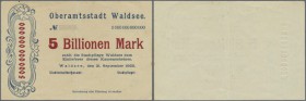 Deutschland - Notgeld - Württemberg: Waldsee, Oberamtsstadt, 5 Billionen Mark, 21.9.1923, ohne Unterschriften und KN, Papier hellbraun statt hellblau,...