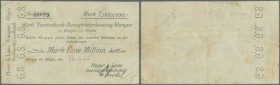 Deutschland - Notgeld - Württemberg: Wangen, Hoyer & Lavo KG, 1 Mio. Mark, 15.9.1923 (Datum gestempelt - nicht bei Karau), Erh. III-IV
