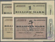 Deutschland - Notgeld - Württemberg: Saulgau, Stadtpflege, 5, 10, 20, 50 Mio. Mark, 18.9.1923, 5, 10 (2), 20 (2), 50 (2) Mio. Mark, 1.10.1923, 100 Mio...