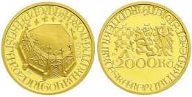 Ausländische Goldmünzen und -medaillen
Tschechische Republik
Seit 1993
2000 Kronen 2002. Fontäne in Kuttenberg. 6,22 g. Feingold. Im Originaletui. ...