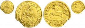 Altdeutsche Goldmünzen und -medaillen
Braunschweig-Calenberg-Hannover
Ernst August 1679-1698
1/4 Dukat 1695, Hannover. Brb. n.r./springendes Ross. ...