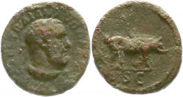 Römische Münzen
Kaiserzeit
Trajan, 98-117
Quadrans 98/117. Drap. Büste des Hercules r./Eber über SC. 2,23 g. Stempelstellung 6 h. fast sehr schön. ...