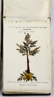 Medaillen
Judaica
RABINOWITZ DRECHSLER, JOSEPH. Blumen des Heil. Landes. Jerusalem o.J. (1882). Mappe mit intarsiertem Holzumschlag mit aus pressget...