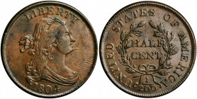 1804 Draped Bust Half Cent. C-8. Rarity-1. Spiked Chin. MS-62 BN (PCGS). CAC.

Glossy antique copper-brown surfaces with glints of steel-olive on the ...