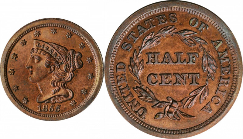 1855 Braided Hair Half Cent. C-1. Rarity-5 as a Proof. Proof-64 BN (PCGS).

Pink...