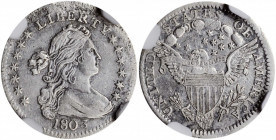 1803 Draped Bust Half Dime. LM-3. Rarity-3. Large 8. AU Details--Cleaned (NGC).

This is a well detailed example with porous, argent-gray surfaces as ...
