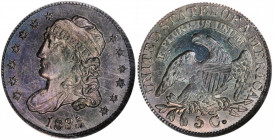 1835 Capped Bust Half Dime. LM-4. Rarity-3. Large Date, Large 5 C. MS-65 (NGC).

Prooflike surfaces are drenched in lovely iridescent toning of steel-...