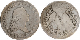 1795 Flowing Hair Half Dollar. O-106, T-30. Rarity-6. Two Leaves. VG-8 (PCGS).

An otherwise silver gray example that exhibits olive-brown patina in t...