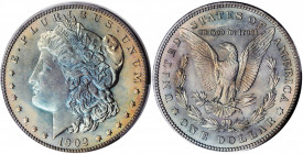 1902 Morgan Silver Dollar. Proof-65 (PCGS).

This boldly and originally toned specimen is bathed in a rich blend of steel-blue with hints of green and...