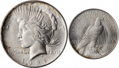 1921 Peace Silver Dollar. High Relief. MS-66 (PCGS).

Uncommonly smooth for an example of this popular first year Peace dollar issue, both sides also ...