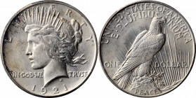 1921 Peace Silver Dollar. High Relief. MS-65 (PCGS).

Dusted with the lightest pale silver tinting, a few swirls of russet patina along the left obver...