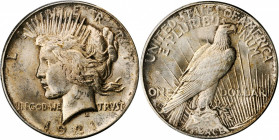 1921 Peace Silver Dollar. High Relief. MS-64 (PCGS).

An impressive near-Gem example with an above average strike and luster. Predominantly brilliant ...