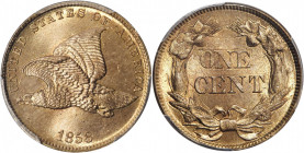 1858 Flying Eagle Cent. Small Letters, Low Leaves (Style of 1858), Type III. MS-66+ (PCGS). Eagle Eye Photo Seal.

The predominantly tan-rose surfaces...